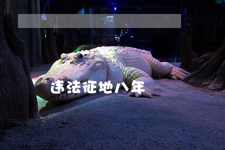 违法征地八年