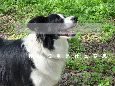违法征用是什么意思