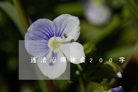 违法心得体会200字 违法心得体会200字