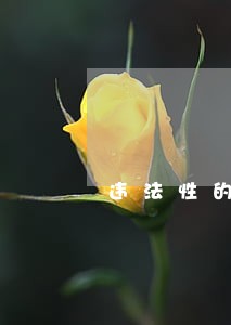 违法性的基础理论购买 违法性的基础理论购买
