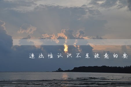 违法性认识不是故意的要素