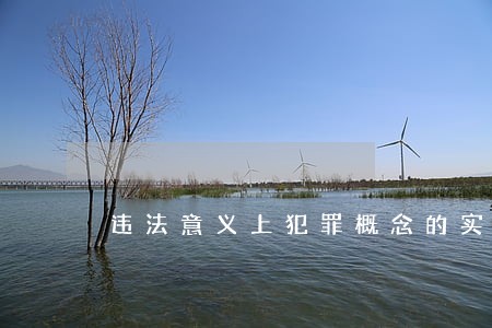 违法意义上犯罪概念的实践展开