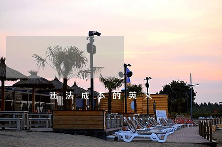 违法成本的英文