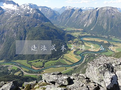 违法成本英语怎么说 违法成本英语怎么说