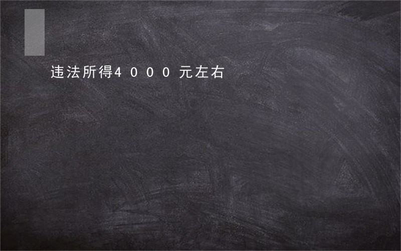 违法所得4000元左右