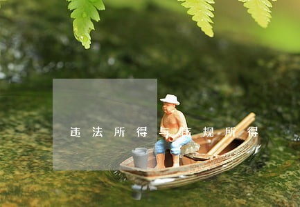 违法所得与违规所得 违法所得与违规所得
