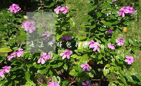 违法所得包括哪些 违法所得包括哪些