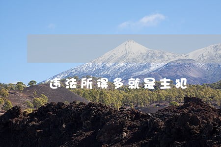 违法所得多就是主犯