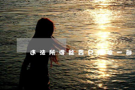 违法所得能否只没收一部分