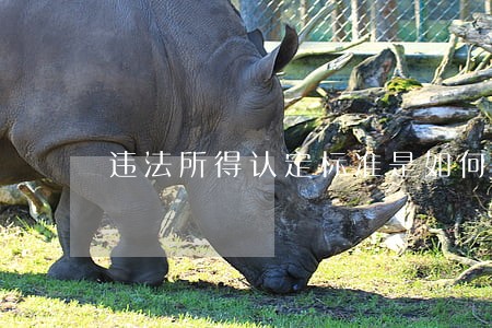 违法所得认定标准是如何的