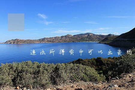违法所得货币可以出资吗 违法所得货币可以出资吗