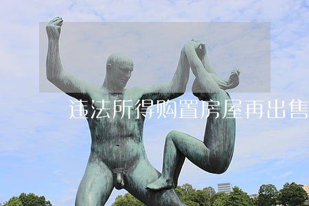 违法所得购置房屋再出售