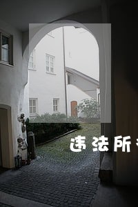 违法所得超百万元被判刑 违法所得超百万元被判刑