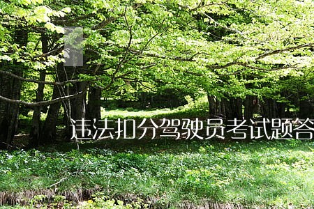 违法扣分驾驶员考试题答案 违法扣分驾驶员考试题答案