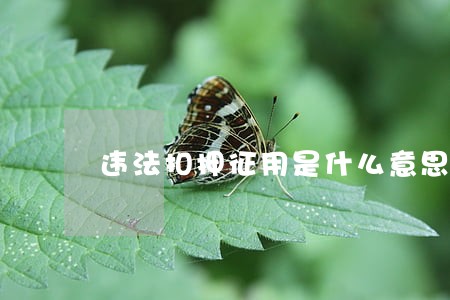 违法扣押征用是什么意思 违法扣押征用是什么意思
