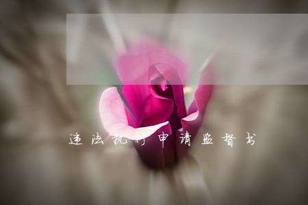 违法执行申请监督书 违法执行申请监督书