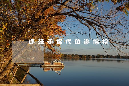 违法承保代位追偿权 违法承保代位追偿权