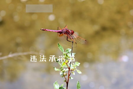 违法承诺书 违法承诺书