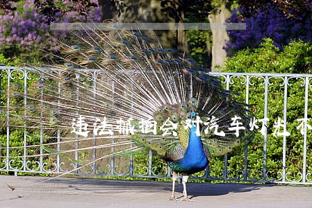 违法抓拍会对汽车灯光不全 违法抓拍会对汽车灯光不全