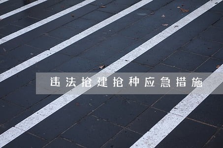 违法抢建抢种应急措施 违法抢建抢种应急措施