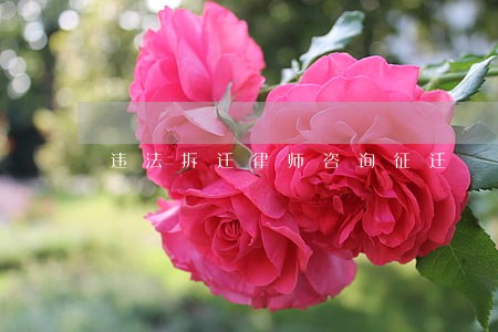 违法拆迁律师咨询征迁 违法拆迁律师咨询征迁