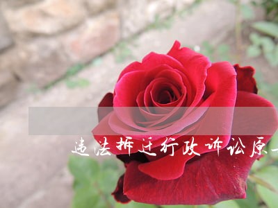 违法拆迁行政诉讼原告代理词