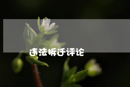 违法拆迁评论 违法拆迁评论