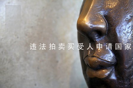 违法拍卖买受人申请国家赔偿 违法拍卖买受人申请国家赔偿