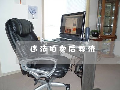 违法拍卖后救济 违法拍卖后救济