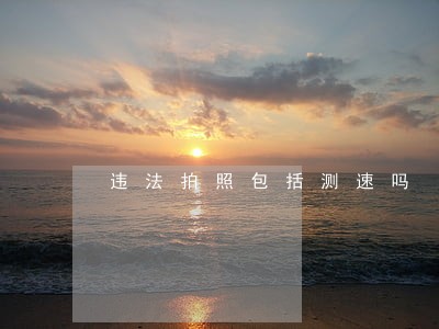 违法拍照包括测速吗