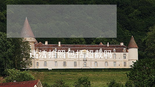 违法拍照包括超载吗 违法拍照包括超载吗