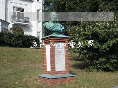 违法拟加重处罚 违法拟加重处罚