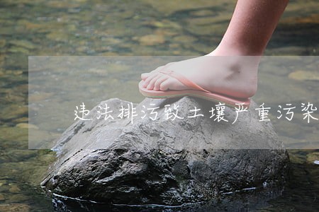 违法排污致土壤严重污染 违法排污致土壤严重污染