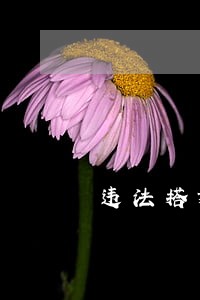 违法搭建占道经营