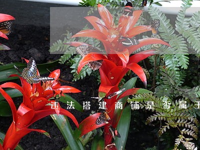 违法搭建商铺是否属于非法经营 违法搭建商铺是否属于非法经营