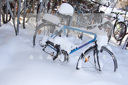 违法搭建理由有点奇葩 违法搭建理由有点奇葩