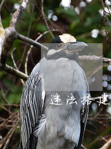 违法搭建被拆除一业主堵门泄私愤 违法搭建被拆除一业主堵门泄私愤