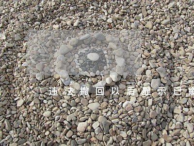 违法撤回以后显示已缴款怎么回事 违法撤回以后显示已缴款怎么回事