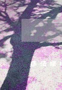 违法操控别人电脑和窃取数据