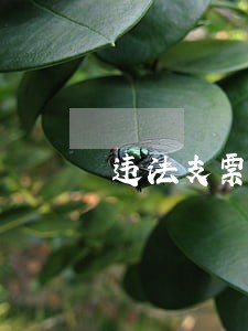 违法支票套现 违法支票套现