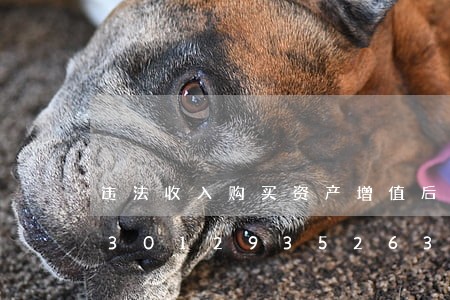 违法收入购买资产增值后如何收缴/2023012935263 违法收入购买资产增值后如何收缴/2023012935263