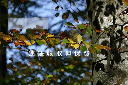 违法收取担保费 违法收取担保费