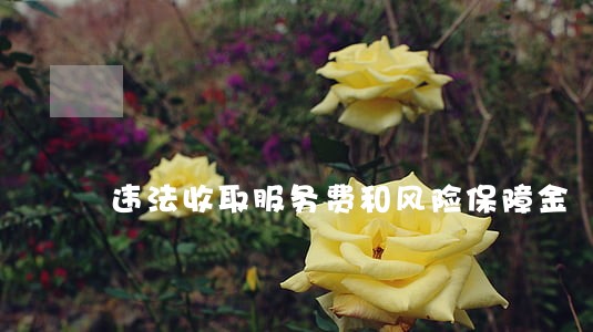 违法收取服务费和风险保障金 违法收取服务费和风险保障金