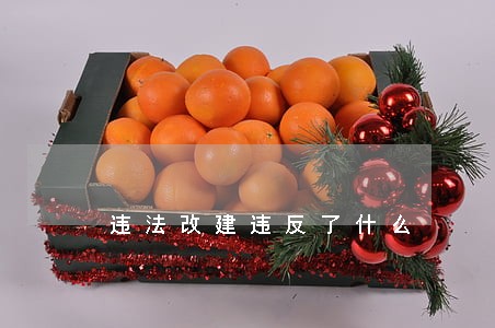 违法改建违反了什么 违法改建违反了什么