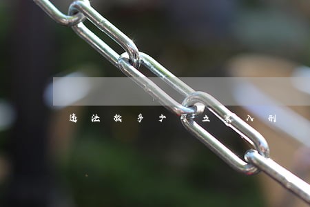 违法放多少可立案入刑 违法放多少可立案入刑