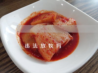 违法放牧吗 违法放牧吗