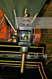 违法放生野生动物的 违法放生野生动物的