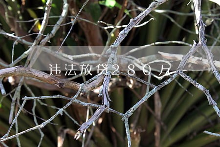 违法放贷280万 违法放贷280万