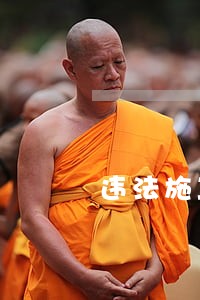 违法施工日志 违法施工日志