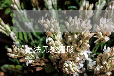 违法无处遁形